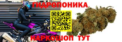 бошки Тверь