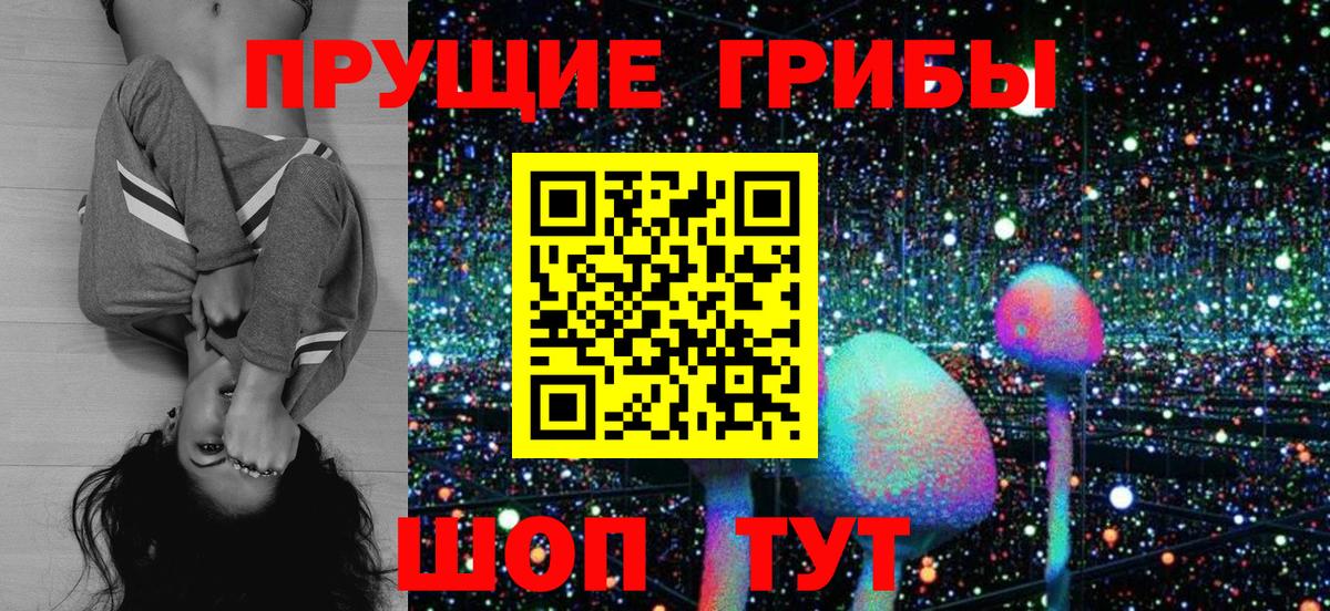 Петропавловск-Камчатский  Галлюциногенные грибы Psilocybine cubensis  Вход с VPN 
